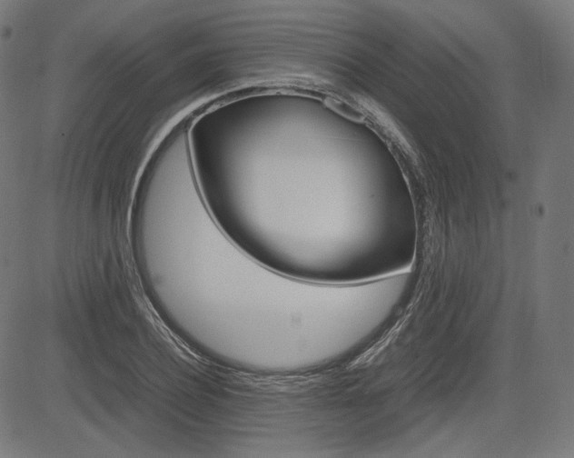 X0000085230932200703090853