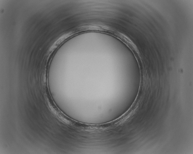 X0000085230938200703090853