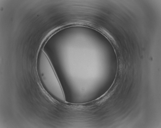 X0000085230940200703090853