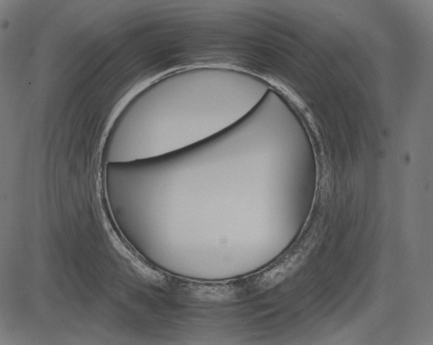 X0000085230941200703090853