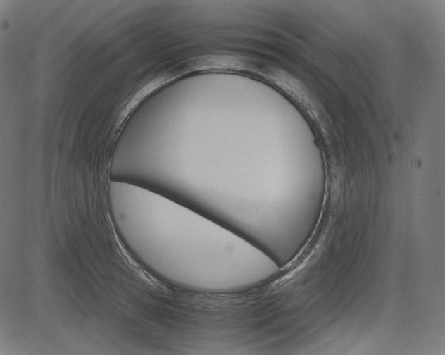 X0000085230945200703090853