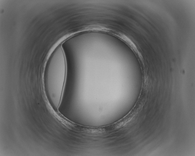 X0000085230947200703090853