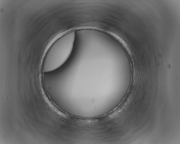 X0000085230949200703090853