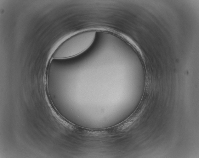 X0000085230951200703090853