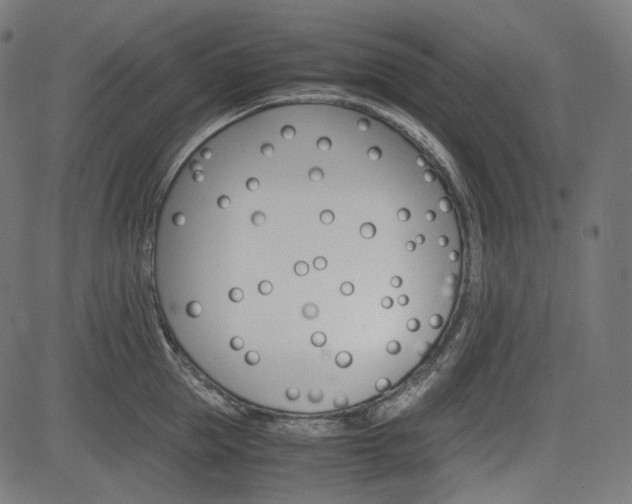 X0000085230953200703090853
