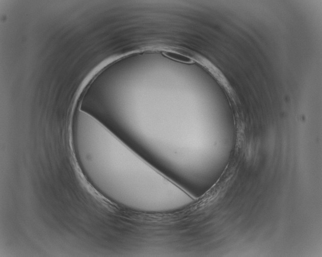 X0000085230955200703090853