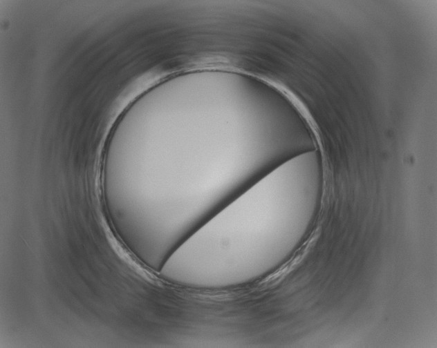 X0000085230957200703090853