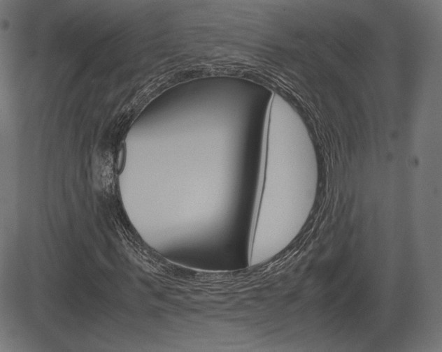X0000085230963200703090852