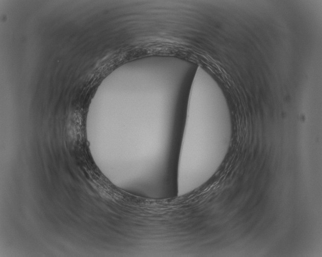 X0000085230964200703090852