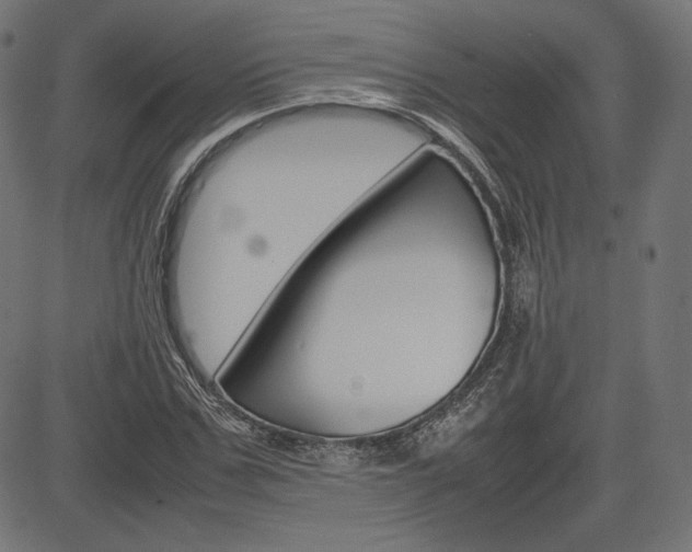 X0000085230971200703090852