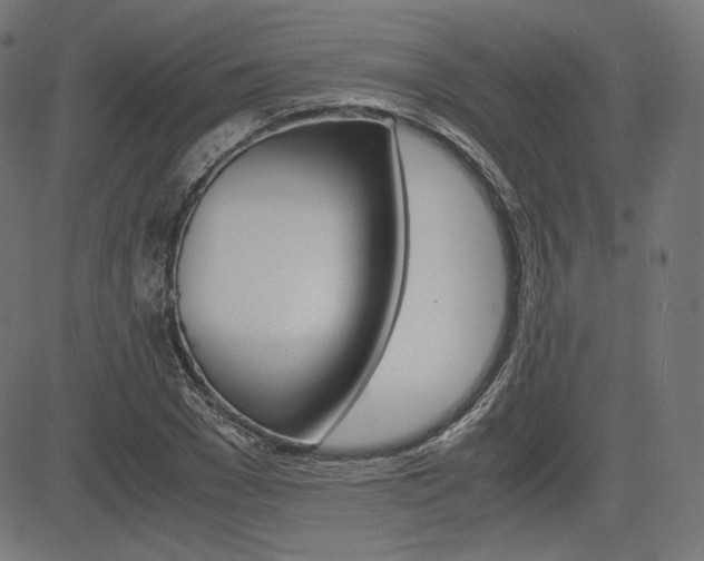 X0000085230977200703090852