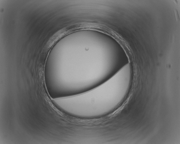 X0000085230985200703090852