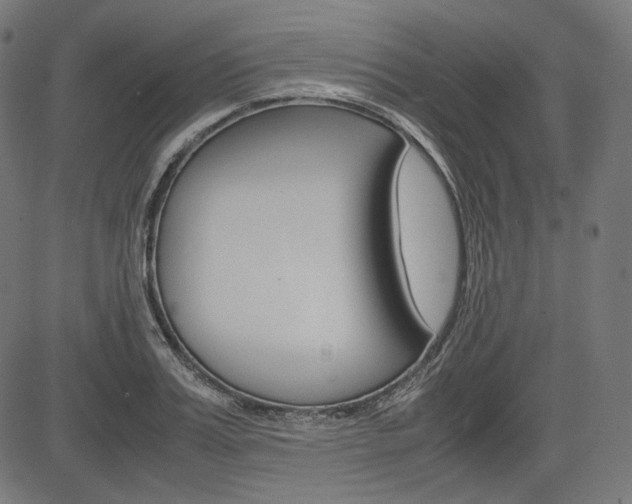 X0000085230987200703090852