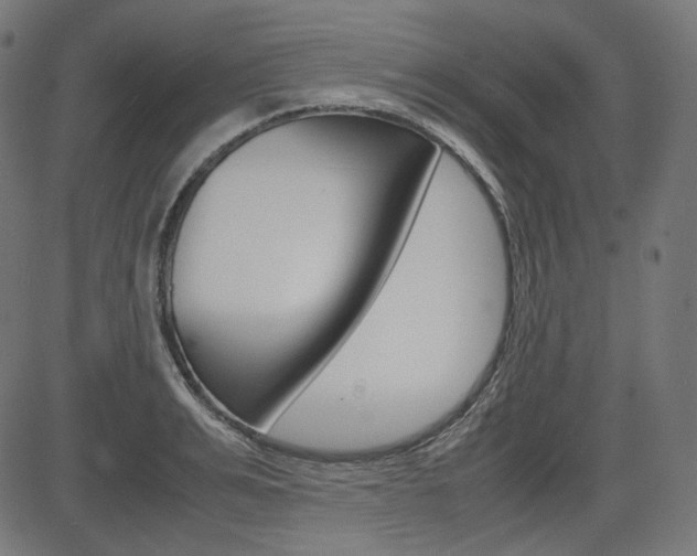 X0000085230991200703090852
