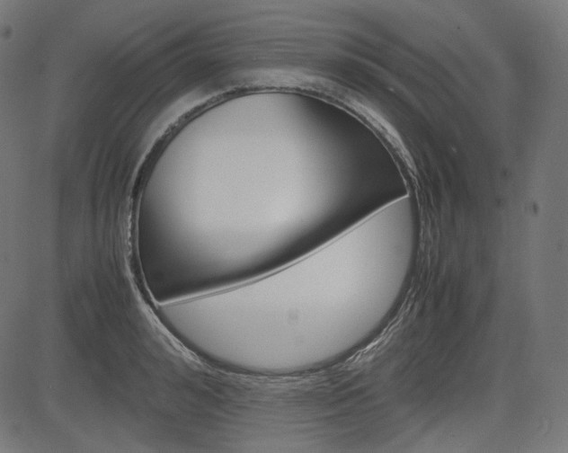 X0000085230992200703090852