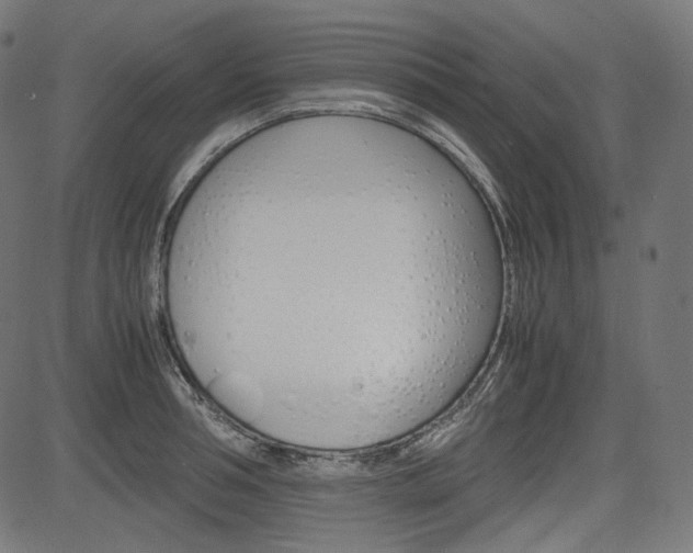 X0000085230994200703090852