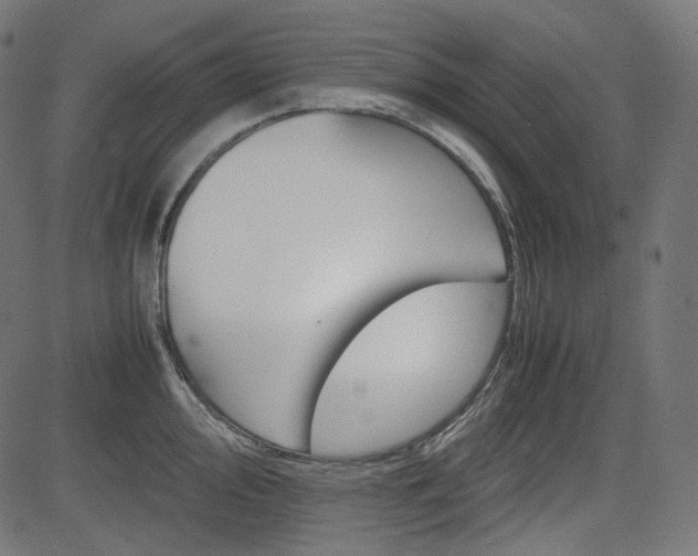X0000085231000200703090852