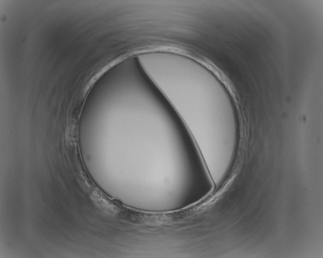 X0000085231001200703090852