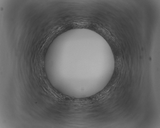 X0000085231009200703090851
