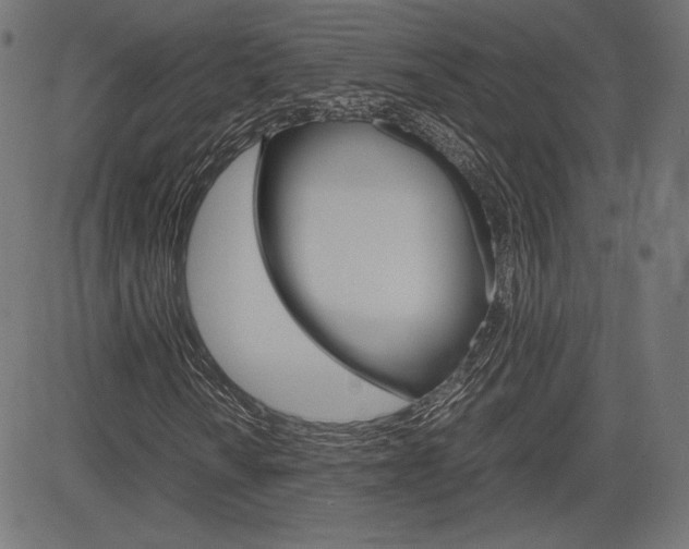 X0000085231010200703090851