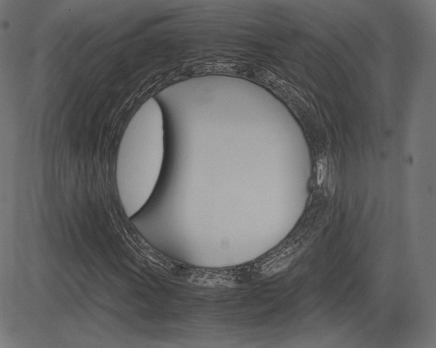 X0000085231011200703090851