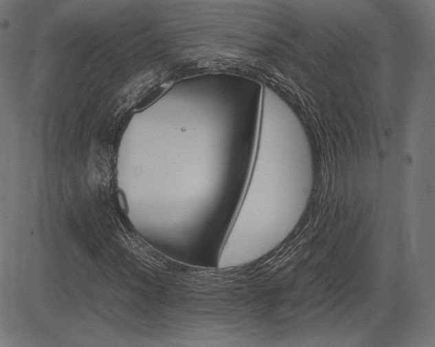 X0000085231012200703090851