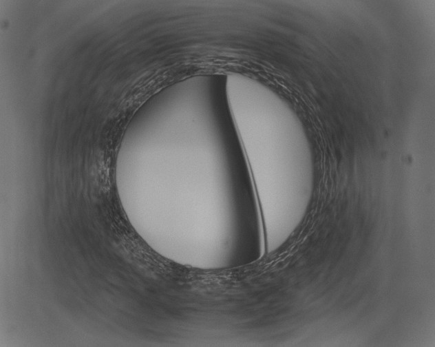 X0000085231013200703090851