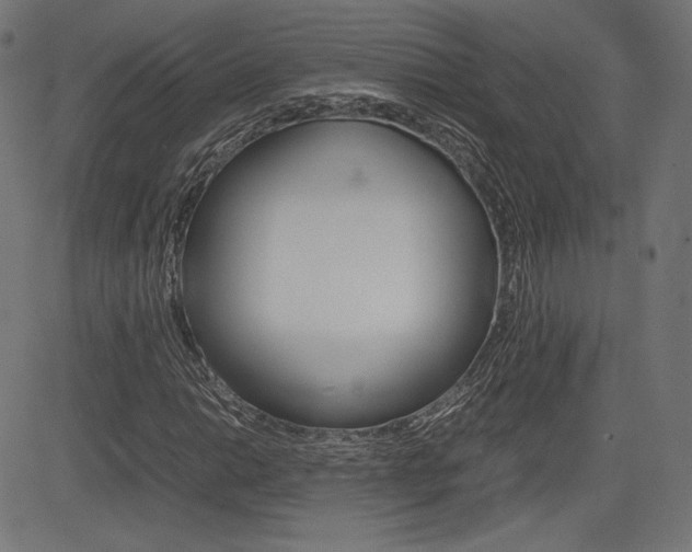 X0000085231014200703090851