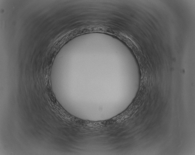 X0000085231015200703090851