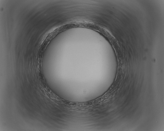 X0000085231016200703090851