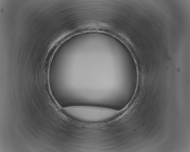 X0000085231018200703090851
