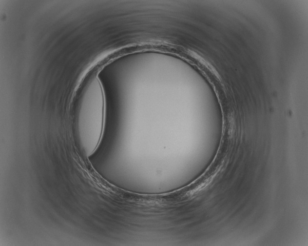 X0000085231021200703090851