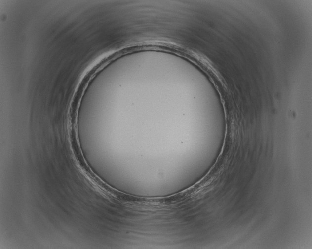X0000085231024200703090851