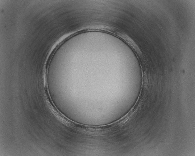 X0000085231036200703090851