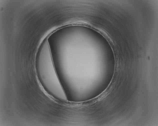 X0000085231038200703090851