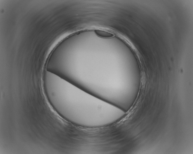 X0000085231048200703090852
