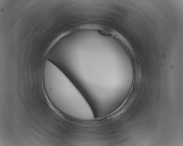 X0000085231049200703090852