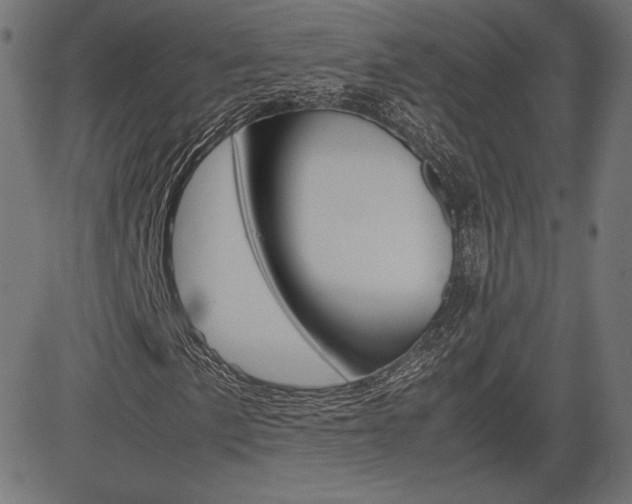 X0000085231057200703090851