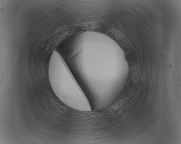 X0000085231058200703090851