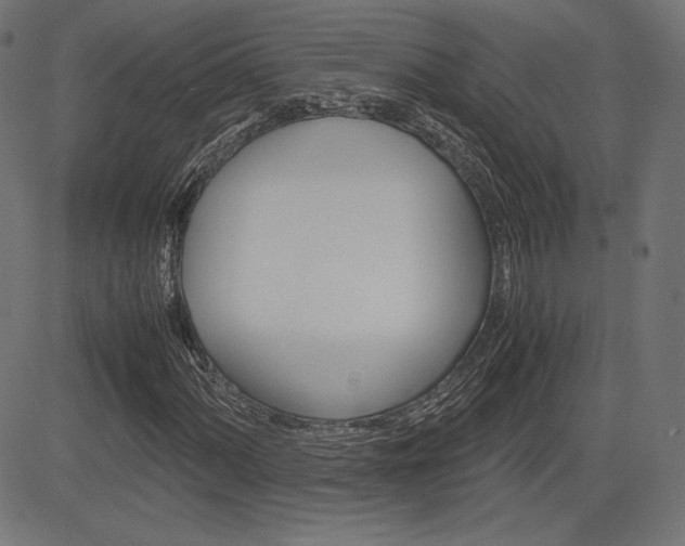 X0000085231060200703090851