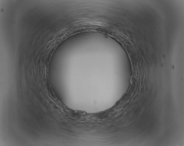 X0000085231061200703090851