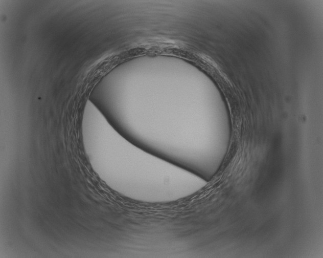 X0000085231063200703090851