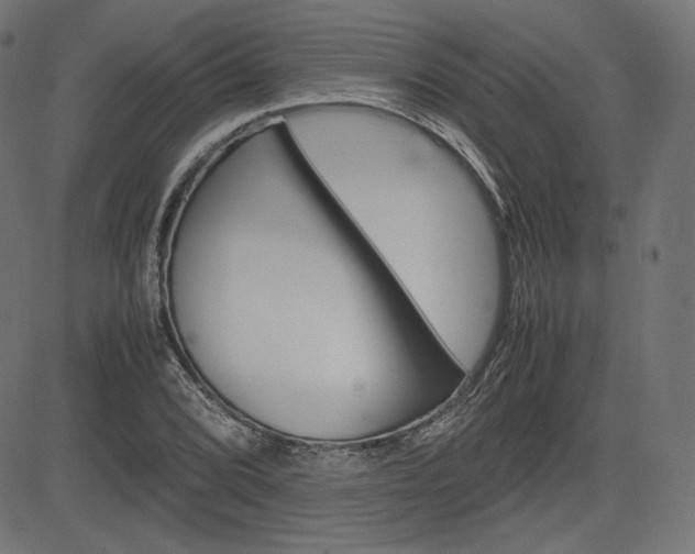 X0000085231072200703090851