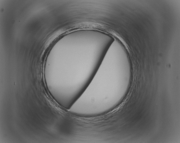 X0000085231075200703090851