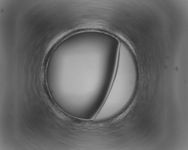 X0000085231077200703090851