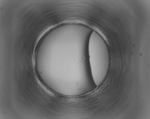 X0000085231084200703090850