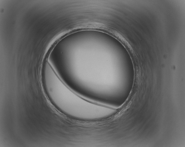 X0000085231085200703090850