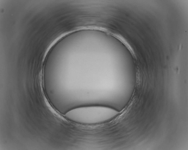 X0000085231100200703090850