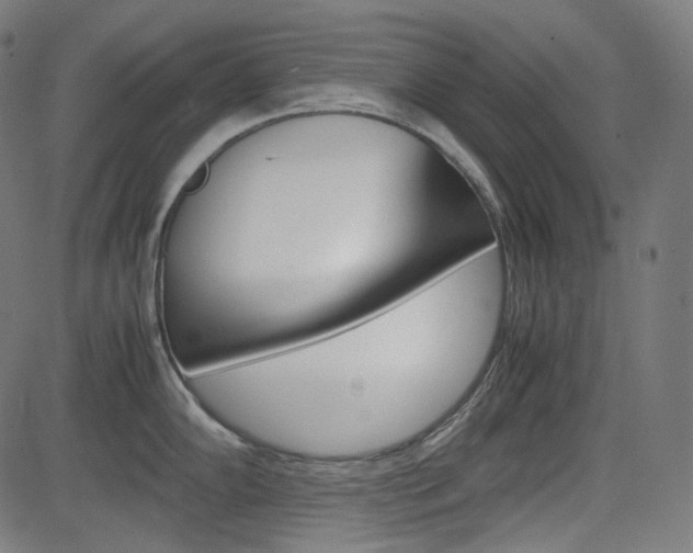X0000085231102200703090850