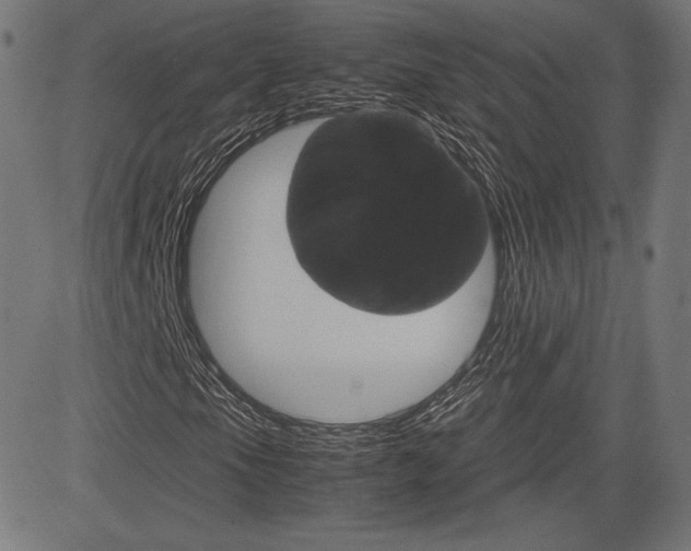 X0000085231105200703090849